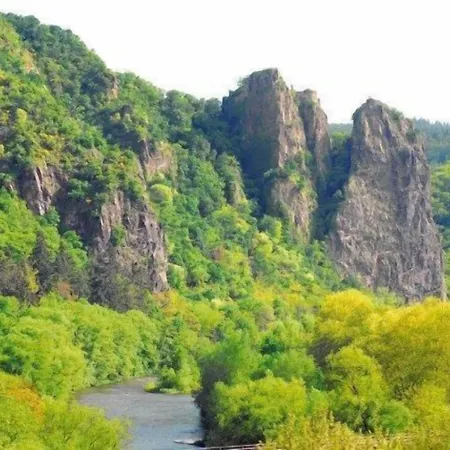 酒店 Krone Traisen