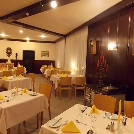 酒店 Krone Traisen